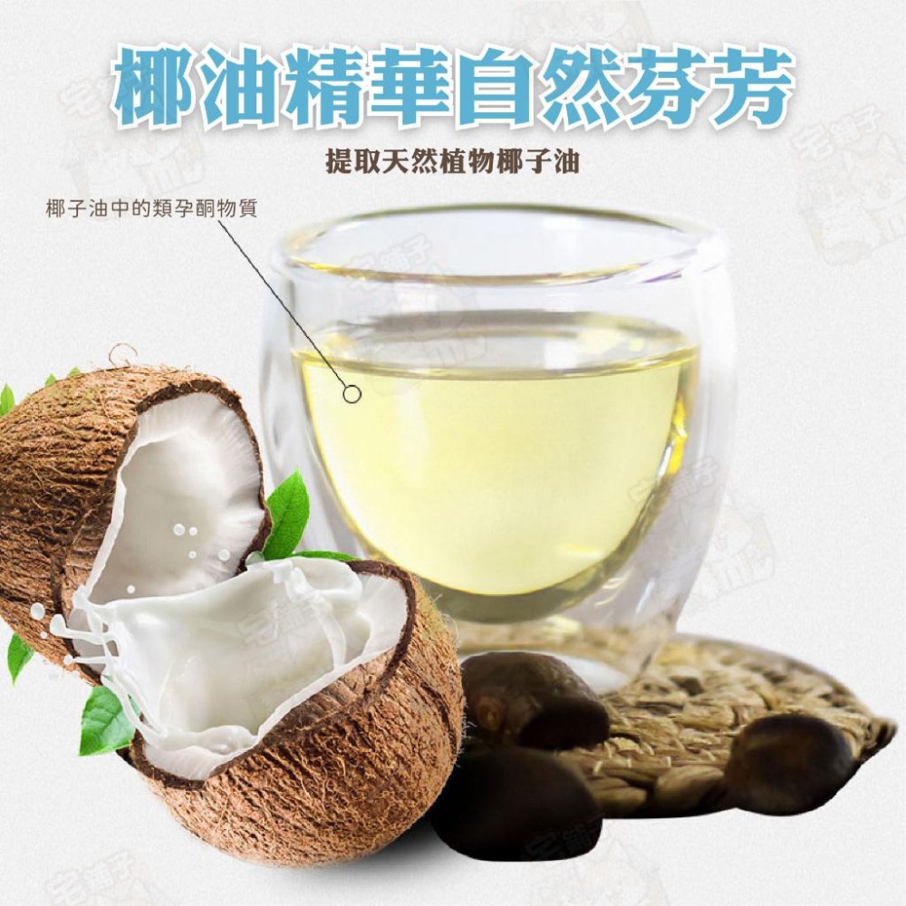 【宅鋪子】寵物沐浴乳 寵物洗毛精 寵物沐浴精 寵物洗澡 貓咪沐浴乳 狗狗沐浴乳 貓咪洗澡 狗狗洗澡-細節圖6