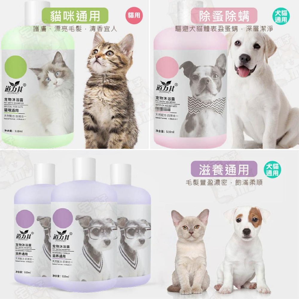 【宅鋪子】寵物沐浴乳 寵物洗毛精 寵物沐浴精 寵物洗澡 貓咪沐浴乳 狗狗沐浴乳 貓咪洗澡 狗狗洗澡-細節圖9