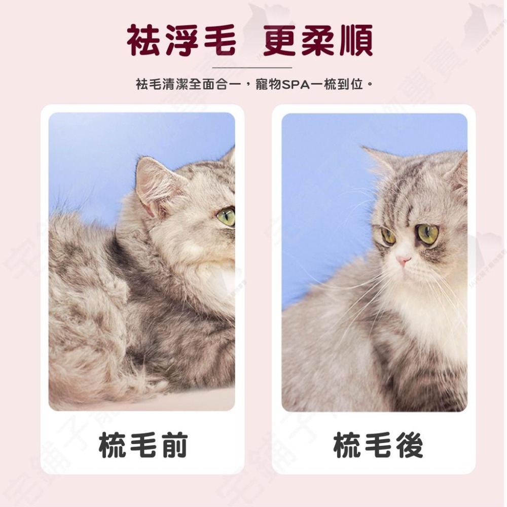 【宅鋪子】寵物引力清潔梳 除毛梳 寵物理毛梳 貓毛梳 狗毛梳 寵物理毛 寵物濕巾 寵物用品-細節圖8