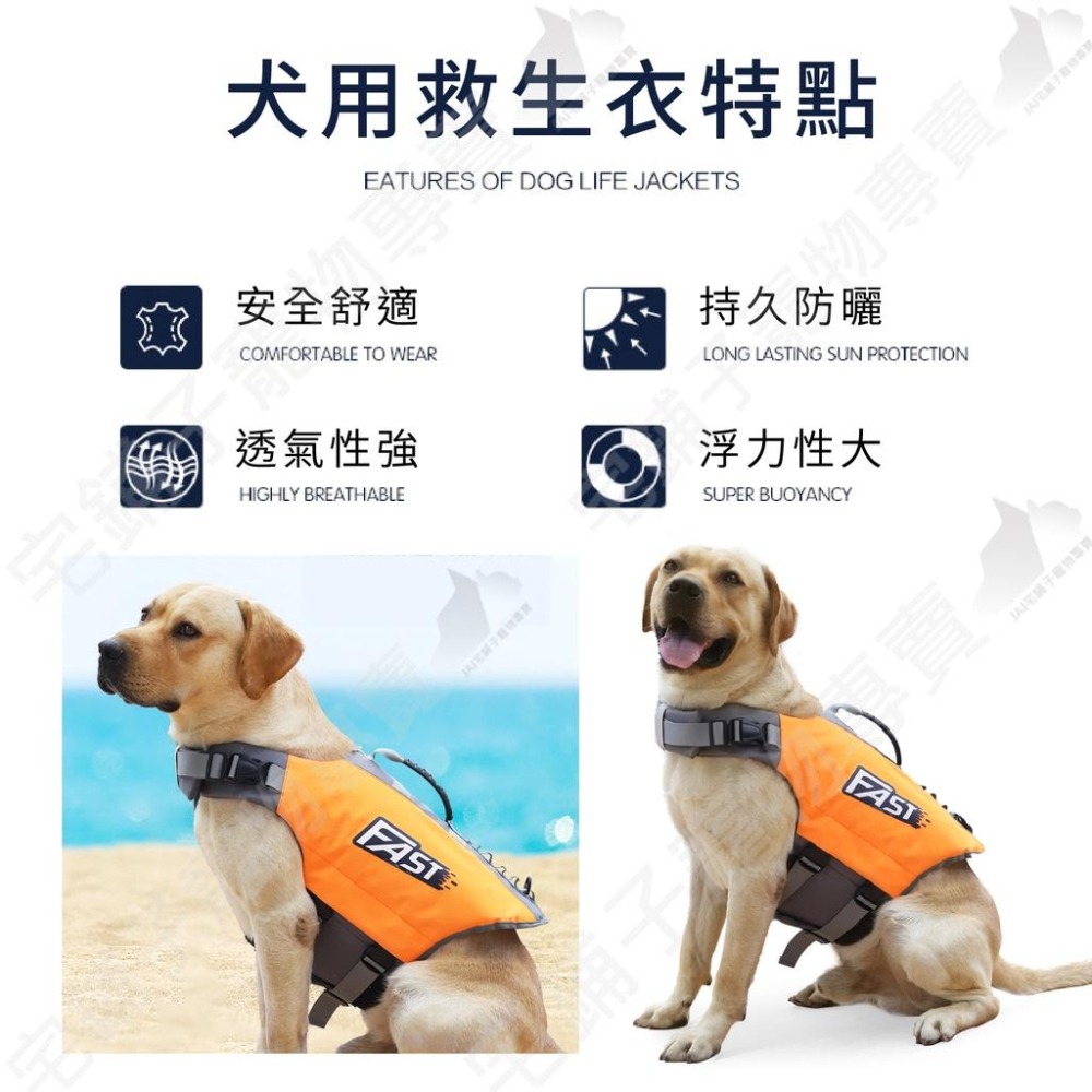 【宅鋪子】FAST狗狗救生衣 犬用救生衣 寵物救生衣 狗狗救生衣 寵物用品 寵物泳衣 狗狗泳衣 狗泳衣背心 狗狗衣服-細節圖3