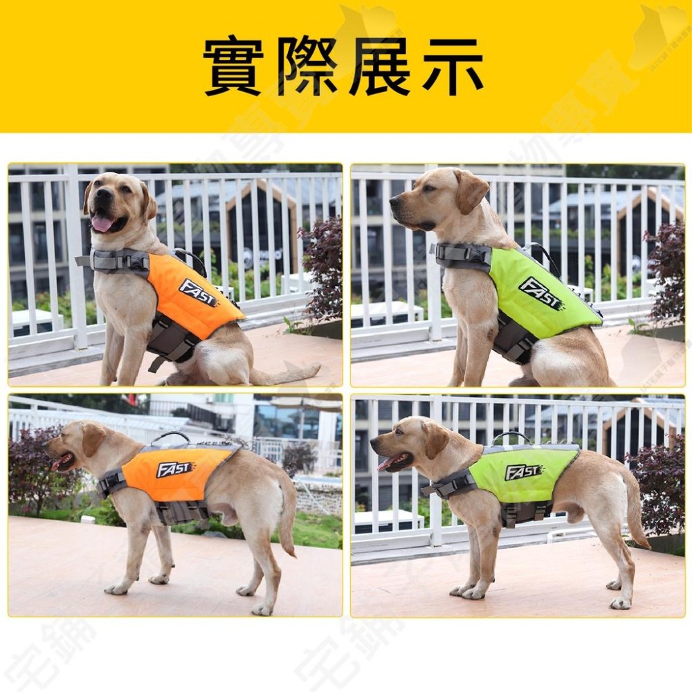 【宅鋪子】FAST狗狗救生衣 犬用救生衣 寵物救生衣 狗狗救生衣 寵物用品 寵物泳衣 狗狗泳衣 狗泳衣背心 狗狗衣服-細節圖7