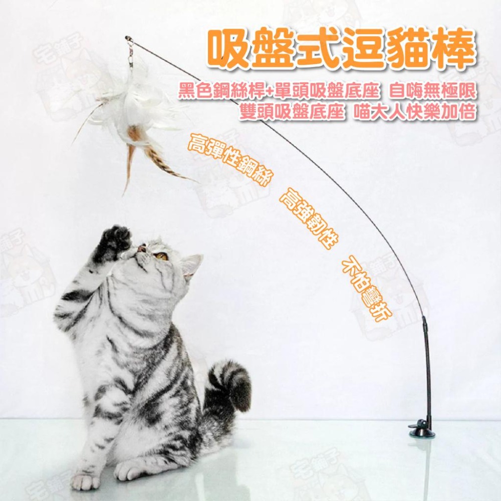 【宅鋪子】替換式逗貓棒 寵物玩具 貓咪玩具 吸盤式逗貓棒 三節式逗貓棒 可拆式玩具 貓咪自嗨玩具 逗貓桿-細節圖3