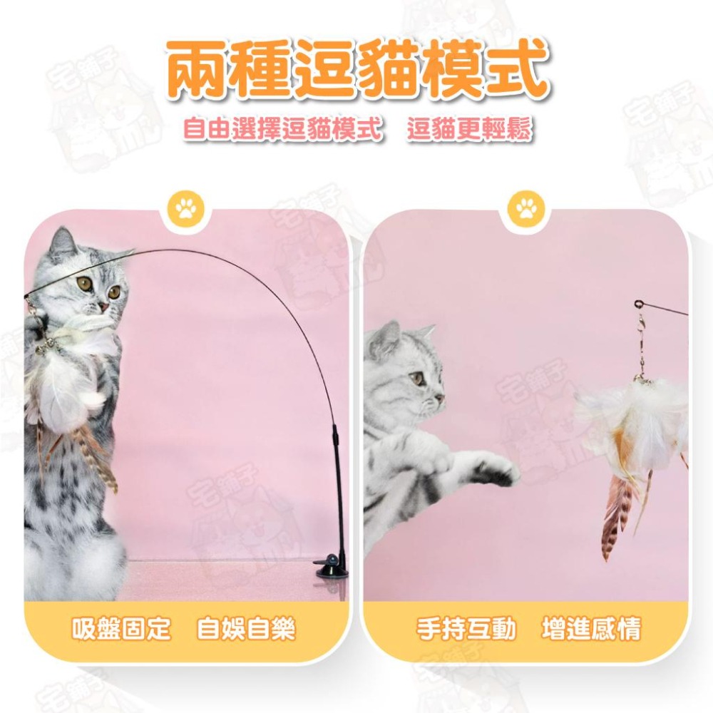 【宅鋪子】替換式逗貓棒 寵物玩具 貓咪玩具 吸盤式逗貓棒 三節式逗貓棒 可拆式玩具 貓咪自嗨玩具 逗貓桿-細節圖4