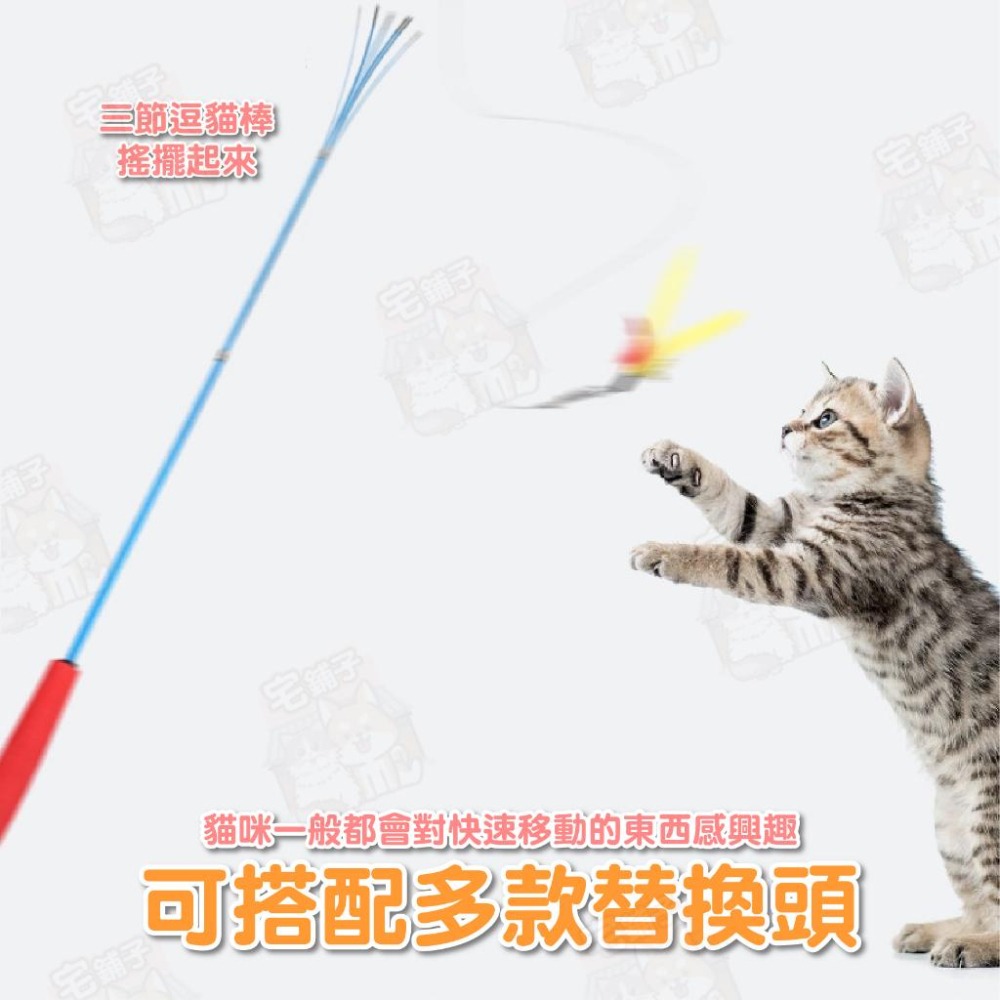 【宅鋪子】替換式逗貓棒 寵物玩具 貓咪玩具 吸盤式逗貓棒 三節式逗貓棒 可拆式玩具 貓咪自嗨玩具 逗貓桿-細節圖8