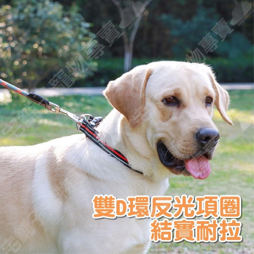 【宅鋪子】雙D環反光項圈 寵物用品 寵物項圈 反光項圈 犬用項圈 狗狗項圈 耐用項圈 防暴衝牽繩-細節圖3
