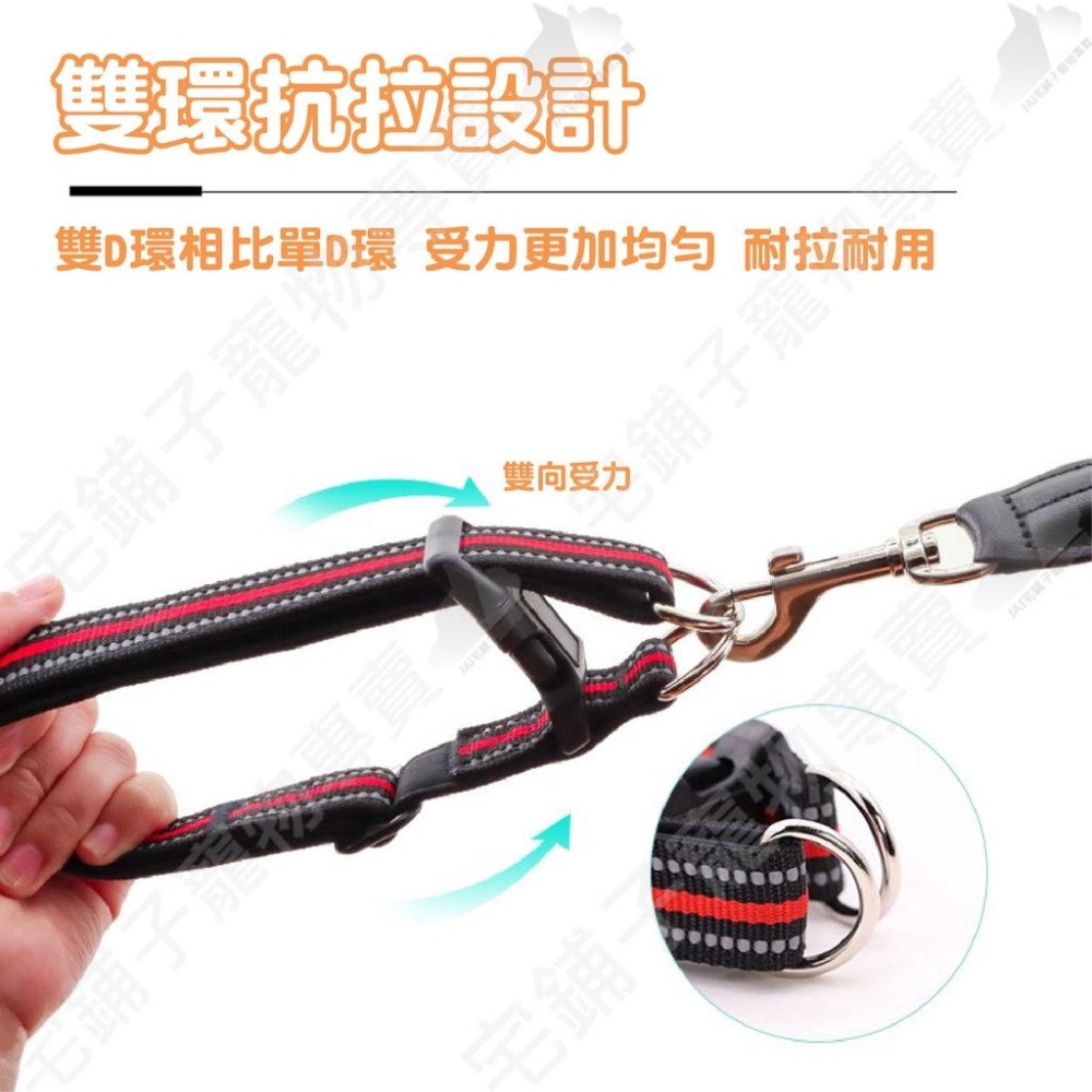 【宅鋪子】雙D環反光項圈 寵物用品 寵物項圈 反光項圈 犬用項圈 狗狗項圈 耐用項圈 防暴衝牽繩-細節圖7