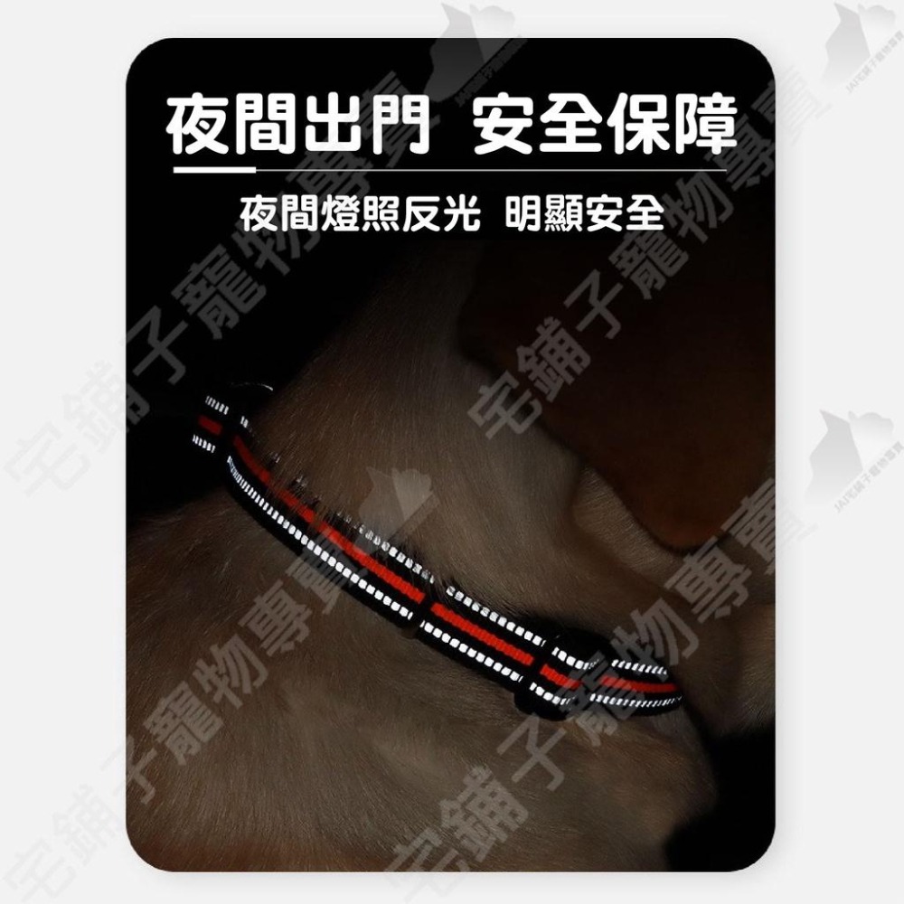 【宅鋪子】雙D環反光項圈 寵物用品 寵物項圈 反光項圈 犬用項圈 狗狗項圈 耐用項圈 防暴衝牽繩-細節圖9
