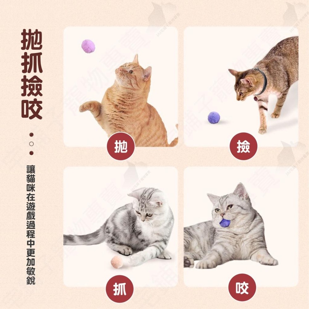【宅鋪子】貓咪毛絨球玩具 毛球 毛毛球 毛絨球 貓咪玩具 貓咪玩具球 逗貓球 寵物毛絨玩具 貓用品-細節圖6
