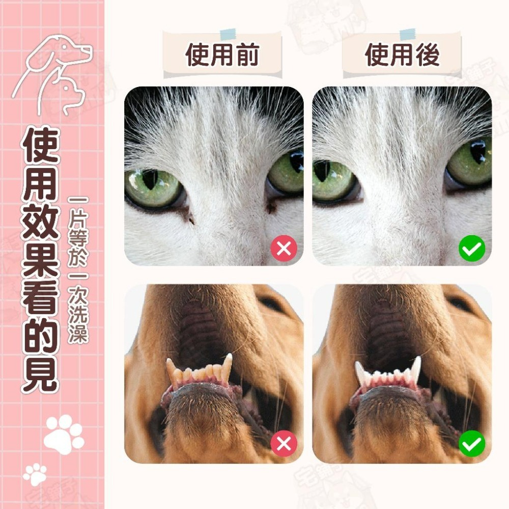 【宅鋪子】寵物清潔濕巾系列 手套濕巾 潔牙指套 寵物免洗手套 貓狗清潔 寵物牙齒清潔 眼耳部清潔濕巾 寵物清潔用品-細節圖3