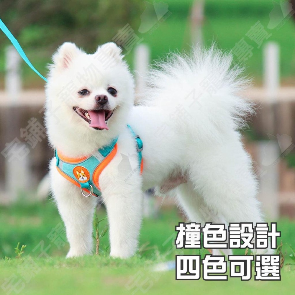 【宅鋪子】麂皮絨反光胸背牽引繩 寵物牽引 狗狗外出牽繩 狗胸背繩 透氣胸背帶 反光胸背帶 寵物胸背 遛狗繩-細節圖3