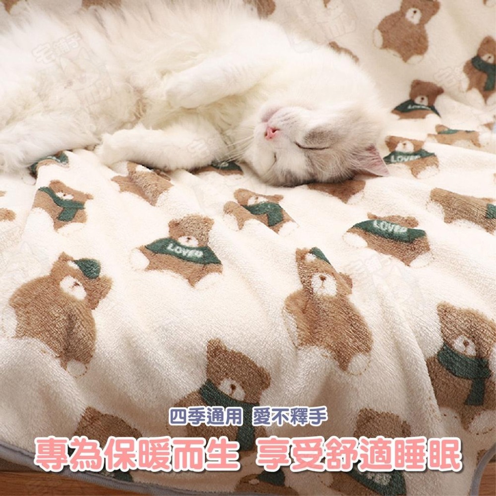 【宅鋪子】法萊絨加厚毛毯 寵物用品 寵物毛毯 寵物棉被 寵物被子 寵物毯子 寵物睡墊 寵物毯-細節圖4