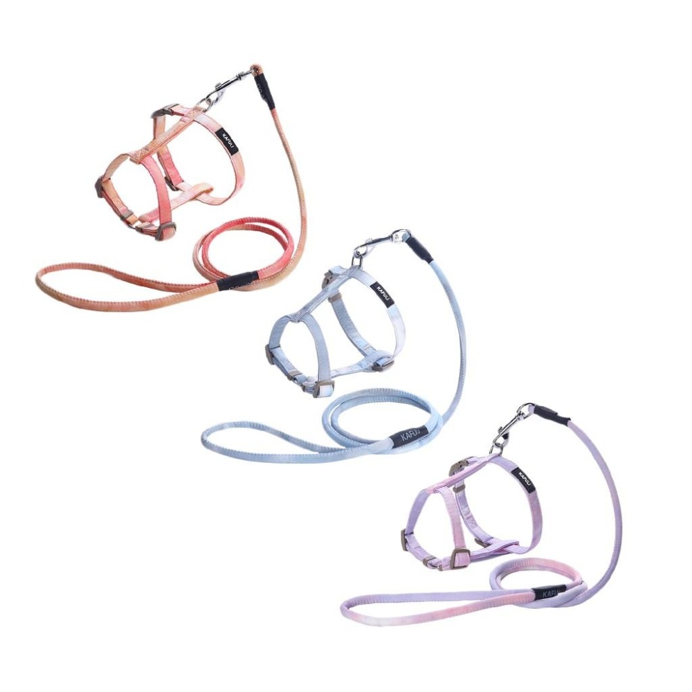 【宅鋪子】漸變色工字胸背帶 寵物項圈 寵物用品 寵物牽繩 寵物胸背 狗狗牽繩 貓咪牽繩 工字胸背帶-細節圖2