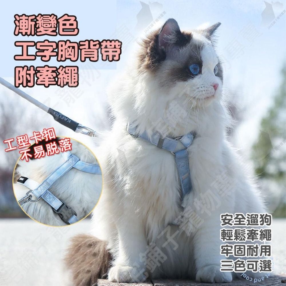 【宅鋪子】漸變色工字胸背帶 寵物項圈 寵物用品 寵物牽繩 寵物胸背 狗狗牽繩 貓咪牽繩 工字胸背帶-細節圖3