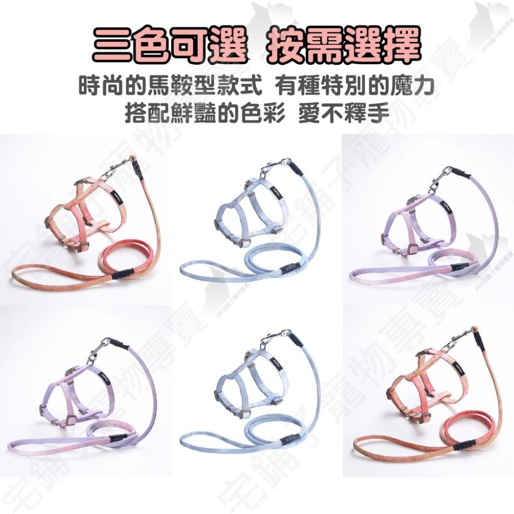 【宅鋪子】漸變色工字胸背帶 寵物項圈 寵物用品 寵物牽繩 寵物胸背 狗狗牽繩 貓咪牽繩 工字胸背帶-細節圖4