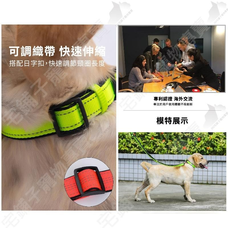 【宅鋪子】高品質PANDA反光項圈 項圈 狗項圈 犬用品 反光條圈 安全項圈 寵物項圈 寵物用品-細節圖6