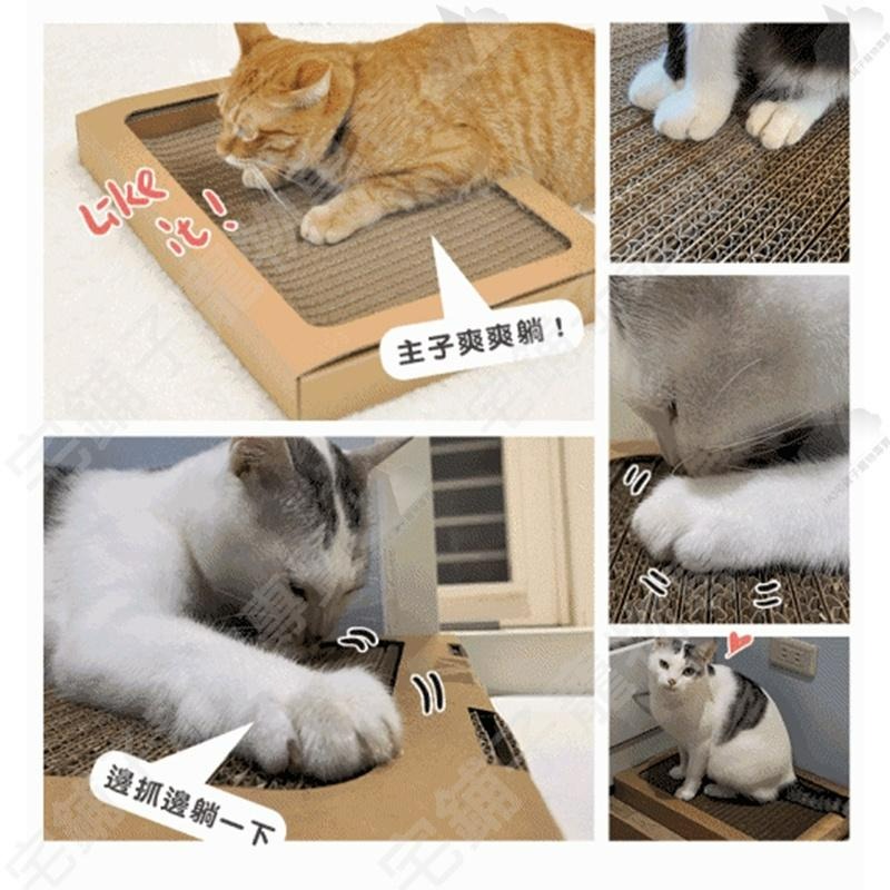 【宅鋪子】Parkcat隨喵抓機能貓抓板補充包 貓用品 寵物用品 貓抓板 貓咪瓦楞紙 貓樂園 機能貓抓板-細節圖3