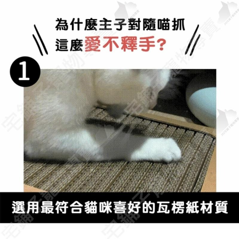 【宅鋪子】Parkcat隨喵抓機能貓抓板補充包 貓用品 寵物用品 貓抓板 貓咪瓦楞紙 貓樂園 機能貓抓板-細節圖5