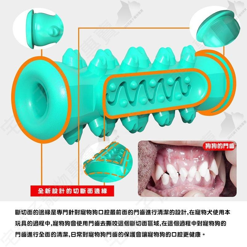 【宅鋪子】雙凸點耐咬潔牙棒 寵物玩具/潔牙棒/潔牙玩具/耐咬玩具/磨牙玩具/磨牙棒/狗玩具-細節圖7