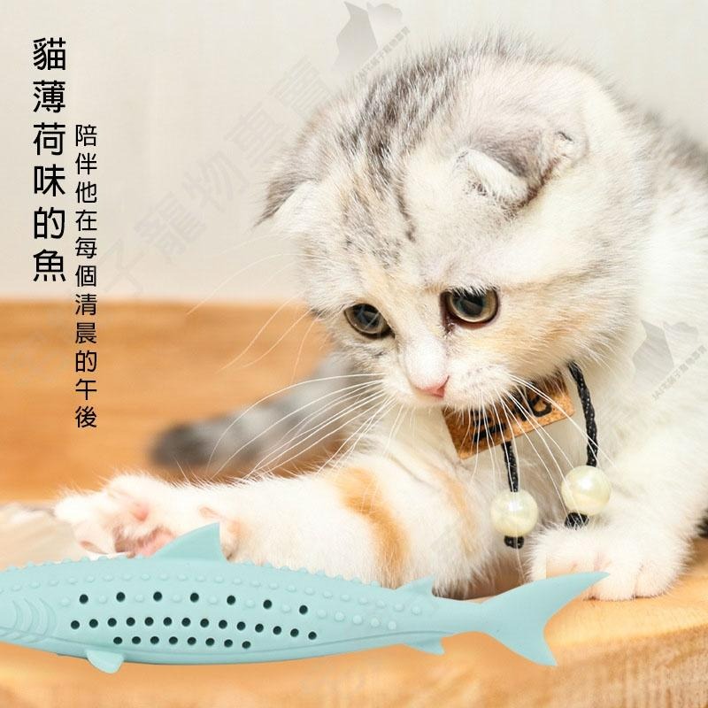 【宅鋪子】貓薄荷矽膠魚玩具 寵物玩具/貓玩具/貓薄荷/矽膠玩具/耐咬玩具/無毒玩具-細節圖3
