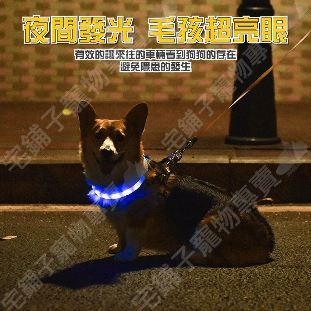 【宅鋪子】USB充電式發光項圈 夜光項圈 防走失項圈 派對項圈 LED項圈 寵物項圈 溜狗項圈 貓咪項圈-細節圖3