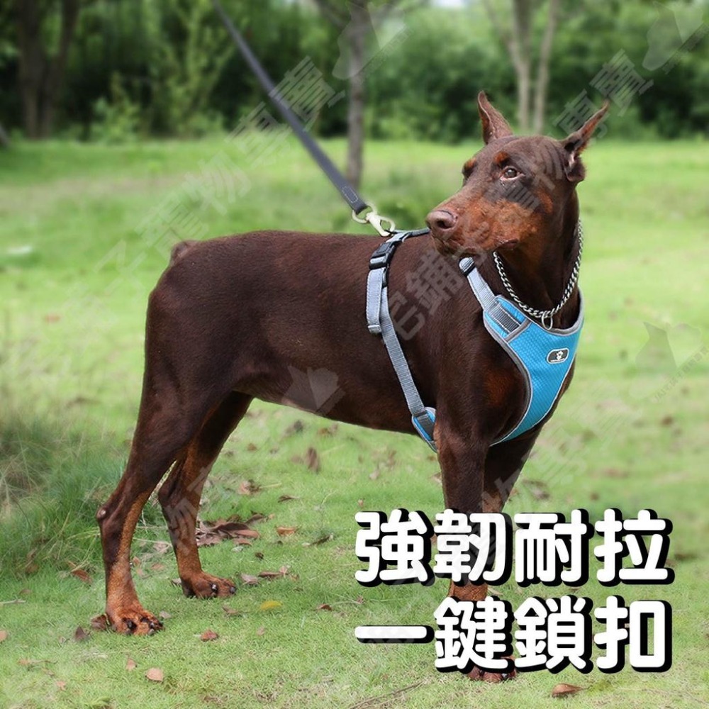 【宅鋪子】網布防暴衝胸背帶 透氣胸背帶 大型犬胸背帶 中型犬胸背帶 背心式寵物胸背帶 夜間反光胸背帶 狗胸背 遛狗繩-細節圖3