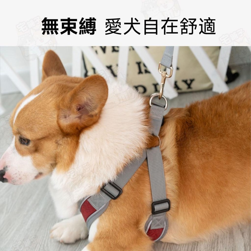 【宅鋪子】X型反光胸背帶 寵物用品/外出用品/寵物胸背帶/寵物牽引衣/反光胸背衣/胸背衣/胸背帶/遛貓/遛狗-細節圖5