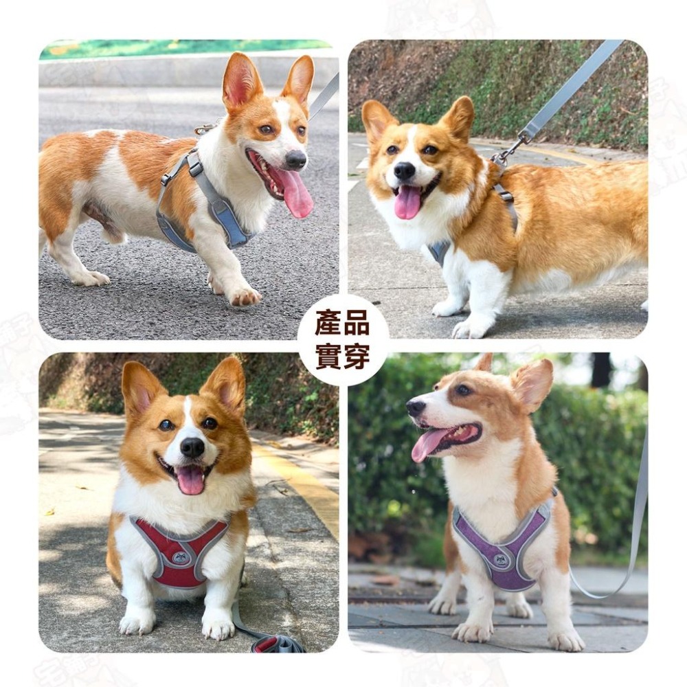 【宅鋪子】X型反光胸背帶 寵物用品/外出用品/寵物胸背帶/寵物牽引衣/反光胸背衣/胸背衣/胸背帶/遛貓/遛狗-細節圖8