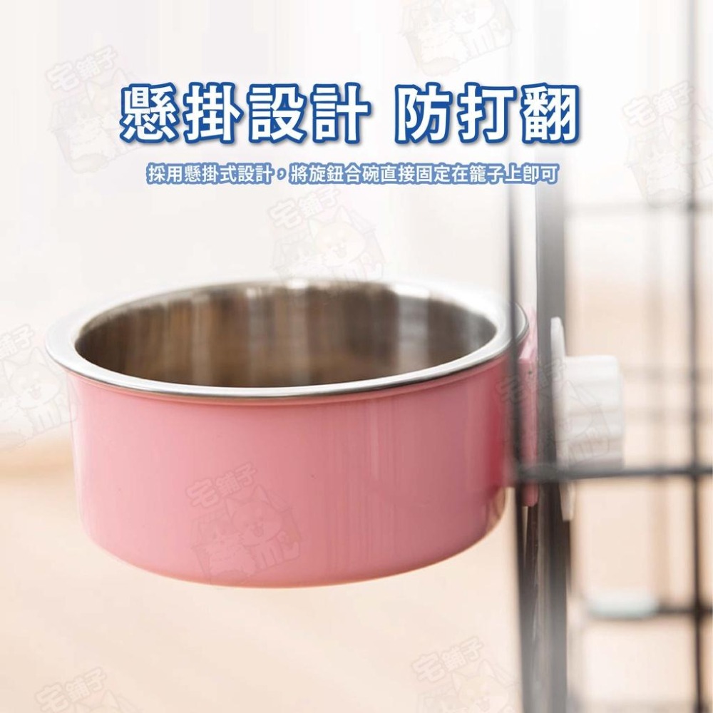 【宅鋪子】糖果色不鏽鋼掛碗 寵物用品/寵物碗/寵物飼料碗/寵物餵食/狗碗/貓碗/飼料碗/飼料盆-細節圖3