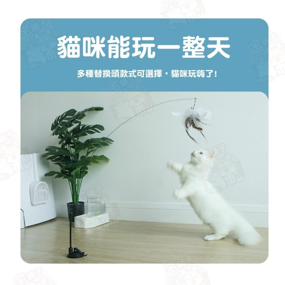 【宅鋪子】逗貓棒替換頭 貓咪玩具 逗貓棒配件 逗貓棒 貓玩具 寵物用品 逗貓玩具 可替換頭 逗貓-細節圖3