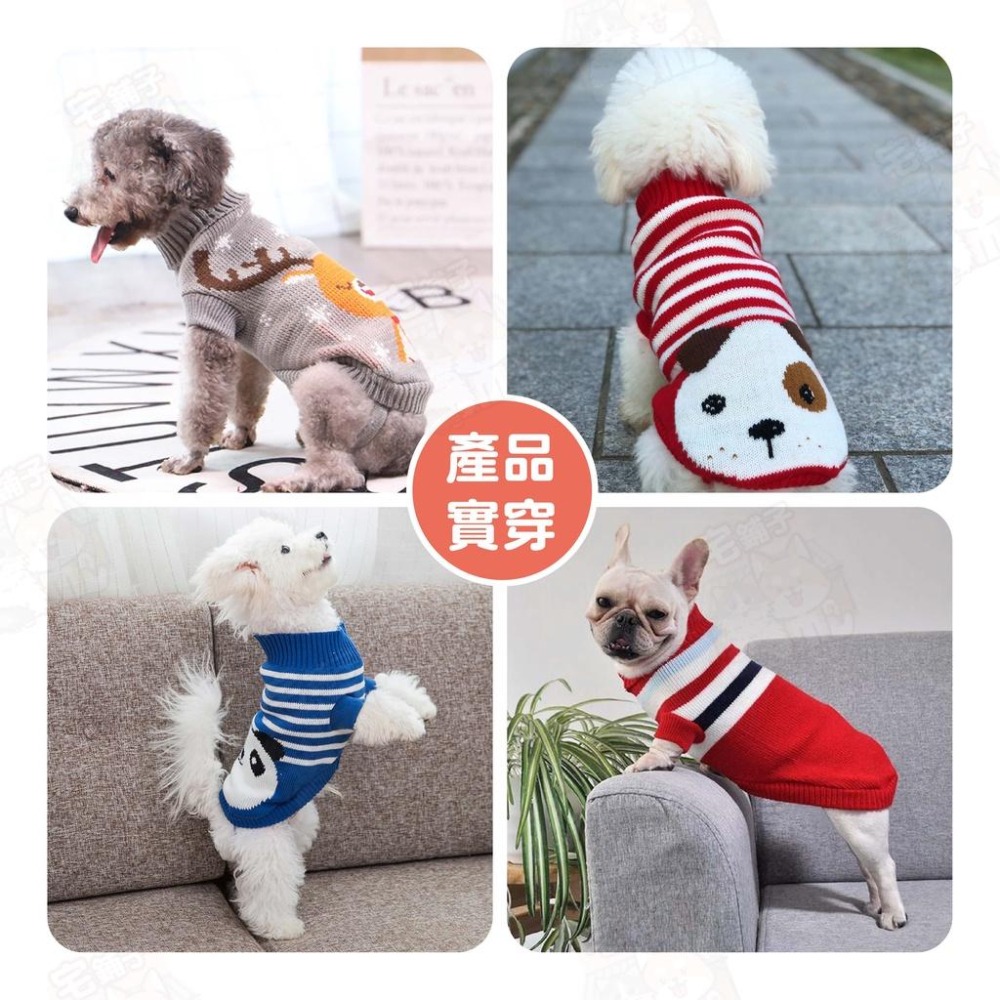 【宅鋪子】秋冬高領針織毛衣 寵物用品/寵物服裝/寵物衣服/寵物毛衣/狗狗衣服/貓咪衣服/寵物衣/毛衣/針織衣-細節圖3