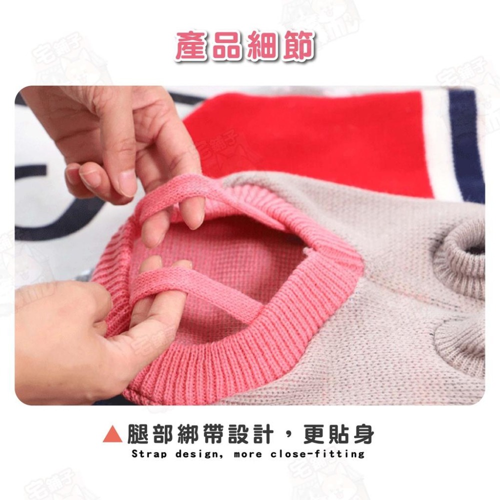 【宅鋪子】秋冬高領針織毛衣 寵物用品/寵物服裝/寵物衣服/寵物毛衣/狗狗衣服/貓咪衣服/寵物衣/毛衣/針織衣-細節圖5