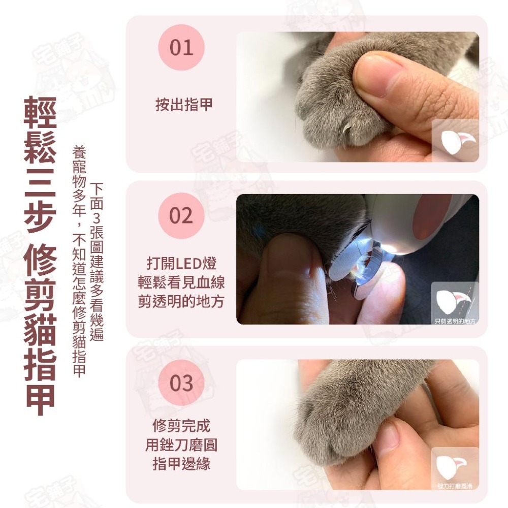 【宅鋪子】引力LED指甲鉗 寵物用品/寵物剪甲/貓咪剪甲/狗狗剪甲/寵物指甲剪/犬貓剪甲/指甲剪/指甲鉗-細節圖8