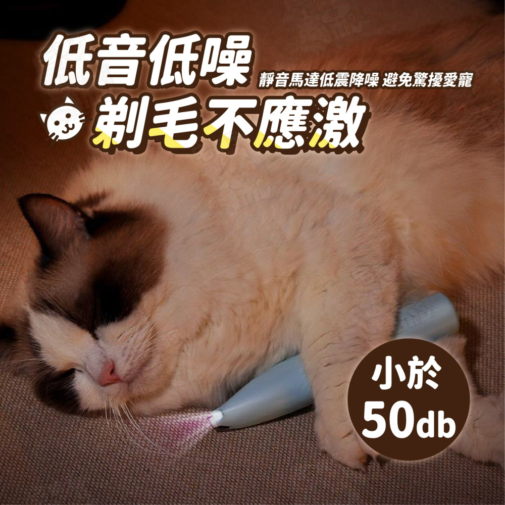 【宅鋪子】寵物剃毛器 剃毛器 寵物電剪 寵物剪毛器 腳底毛電剪 剃毛機 寵物剃毛 剃毛器寵物 剃毛 電剪寵物 貓咪剃毛-細節圖6
