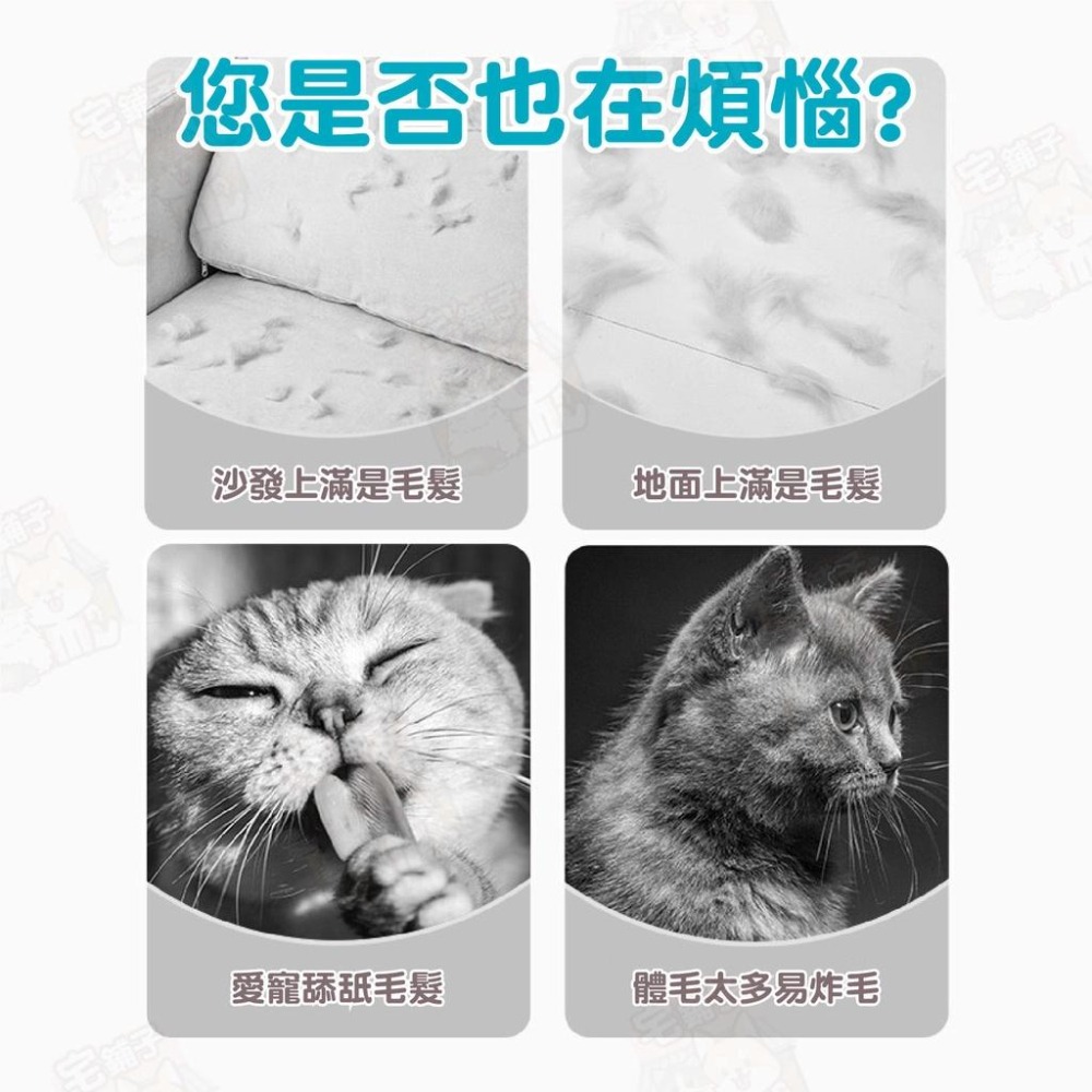 【宅鋪子】寵物除毛手套 除毛手套/按摩手套/安撫手套/除毛/寵物脫毛/洗澡手套/梳毛手套/寵物用品-細節圖4