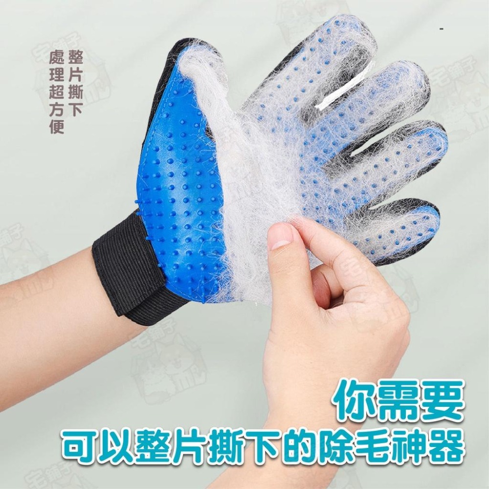 【宅鋪子】寵物除毛手套 除毛手套/按摩手套/安撫手套/除毛/寵物脫毛/洗澡手套/梳毛手套/寵物用品-細節圖8