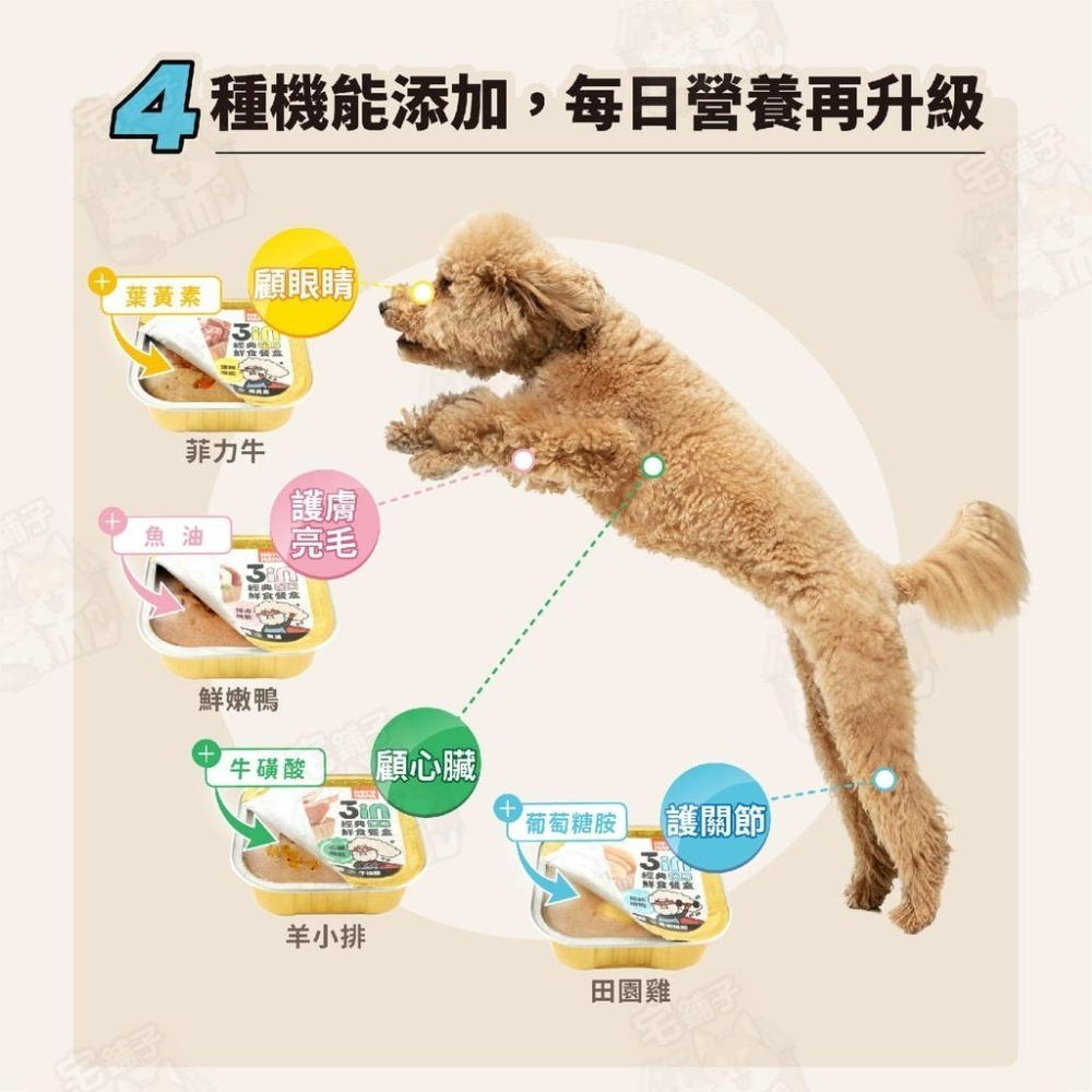 【宅鋪子】HeroMama 3in犬用鮮食餐盒 狗副食罐 寵物食品 狗餐盒 狗食品 犬用食品 毛孩副食罐 狗罐-細節圖6