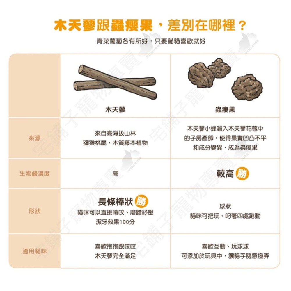 【宅鋪子】汪喵星球 頂級木天蓼 蟲癭果 貓薄荷棒棒 寵物食品/貓紓壓/木天蓼/貓薄荷/貓玩具/貓零食-細節圖7