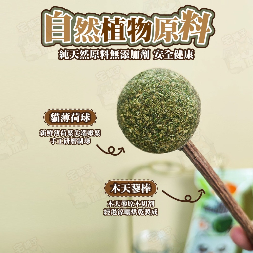 【宅鋪子】貓薄荷木天蓼棒棒糖 木天蓼棒 貓薄荷球 貓咪磨牙 貓咪 貓草棒棒糖 貓薄荷棒 貓棒棒糖 貓薄荷 木天蓼 磨牙-細節圖3