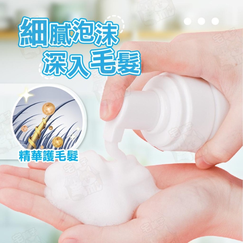 【宅鋪子】寵物乾洗泡沫 寵物 狗狗用品 寵物洗澡 洗澡 狗狗洗澡 貓咪洗澡 寵物乾洗澡 貓 狗 貓-細節圖7