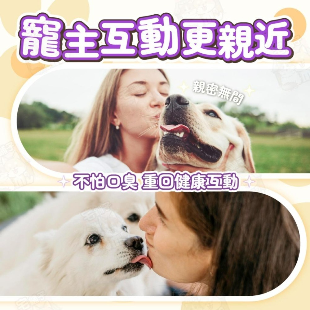 【宅鋪子】犬貓口腔噴霧 寵物用品 口腔噴霧 口臭 救星 口腔清新 口臭救星 口腔 口噴 貓咪口臭 口腔喷雾-細節圖8