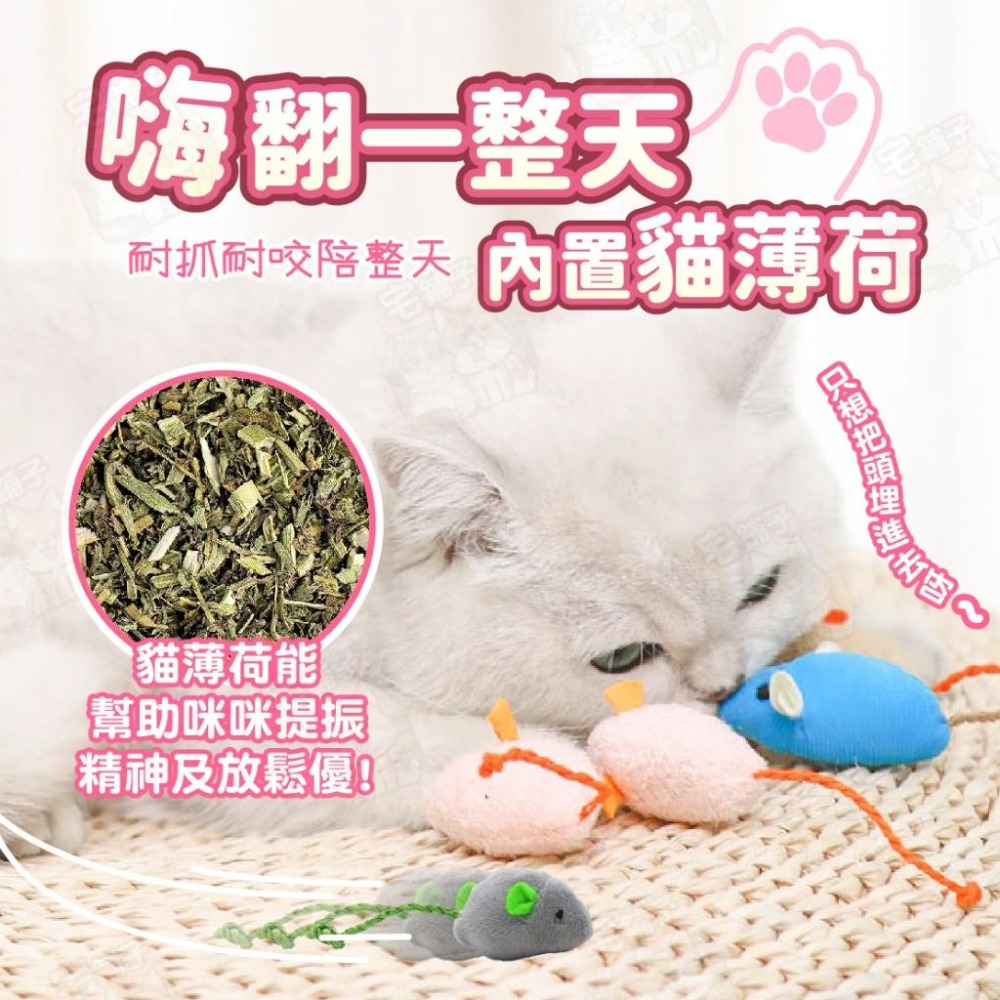 【宅鋪子】小老鼠逗貓玩具 寵物玩具/貓玩具/貓薄荷/老鼠玩具/逗貓玩具/逗貓老鼠/沙鈴鼠/絨布鼠-細節圖5