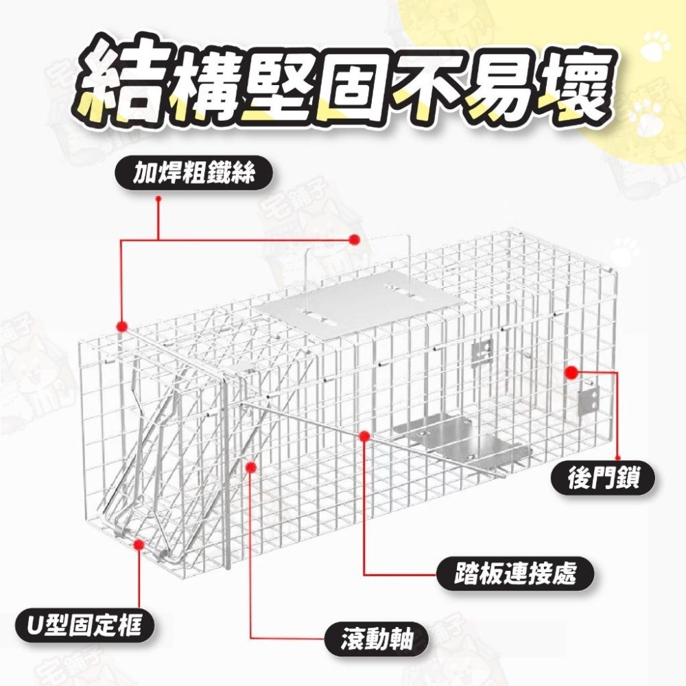 🇹🇼台灣 現貨 免運🔥 折疊式誘捕籠 誘捕籠 捕貓籠 貓咪誘捕籠 捉貓 抓貓 大型誘捕籠 捕貓神器 誘捕籠 TNR誘捕-細節圖4