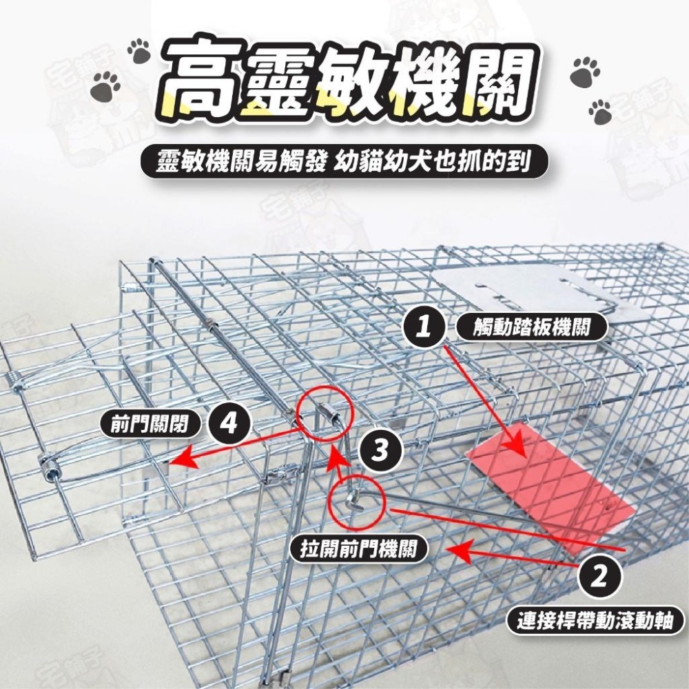 🇹🇼台灣 現貨 免運🔥 折疊式誘捕籠 誘捕籠 捕貓籠 貓咪誘捕籠 捉貓 抓貓 大型誘捕籠 捕貓神器 誘捕籠 TNR誘捕-細節圖5