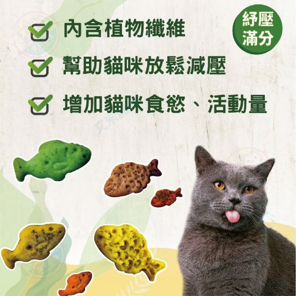 【艾米】CAT GLORY驕傲貓薄荷餅20g 貓薄荷 貓餅乾 貓零食 幼貓成貓 寵物 貓咪 寵物零食 寵物餅乾-細節圖3