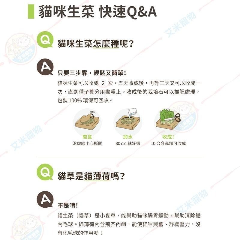 【艾米】汪喵星球 新鮮貓草栽培盒 寵物用品/貓草/小麥草/新鮮貓草/貓草栽培/貓生菜/化毛-細節圖7