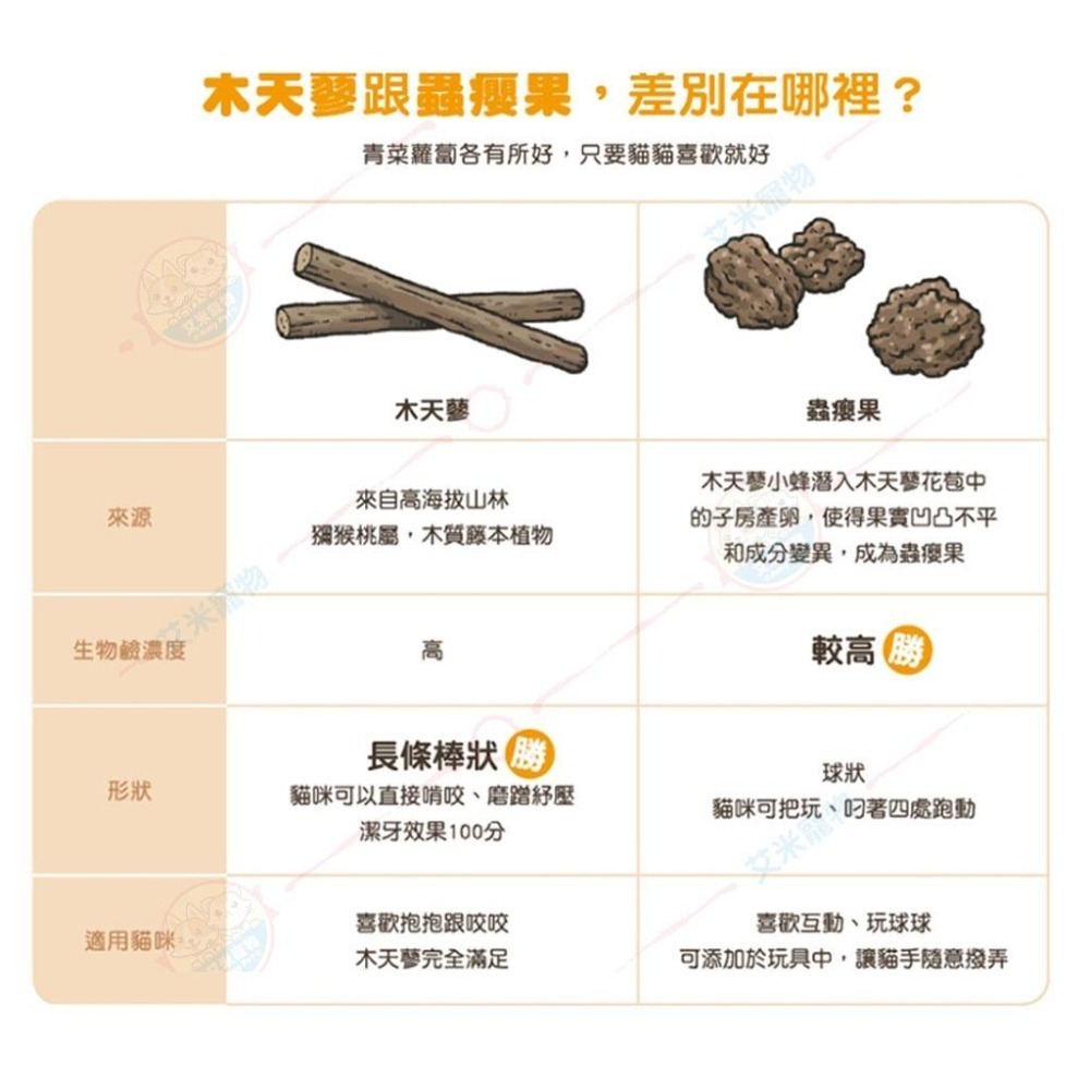 【艾米】汪喵星球 頂級木天蓼 蟲癭果 貓薄荷棒棒 寵物食品/貓紓壓/木天蓼/貓薄荷/貓玩具/貓零食-細節圖7