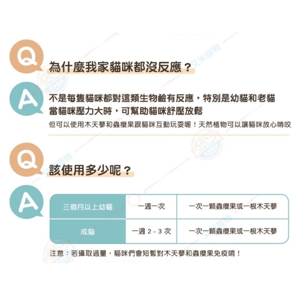 【艾米】汪喵星球 頂級木天蓼 蟲癭果 貓薄荷棒棒 寵物食品/貓紓壓/木天蓼/貓薄荷/貓玩具/貓零食-細節圖9