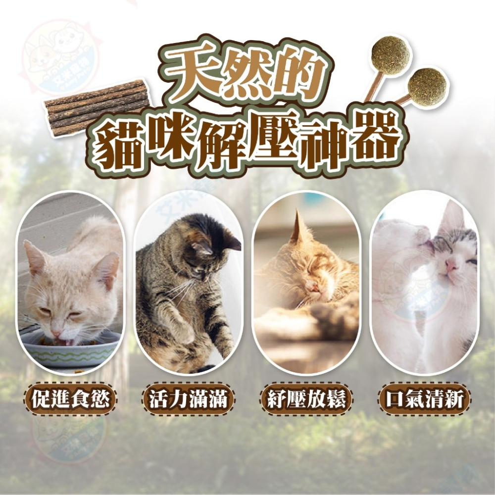 【艾米】貓薄荷木天蓼棒棒糖 木天蓼 木天蓼棒 貓草球 貓草 貓咪用品 貓薄荷球 貓薄荷草 貓薄荷-細節圖3