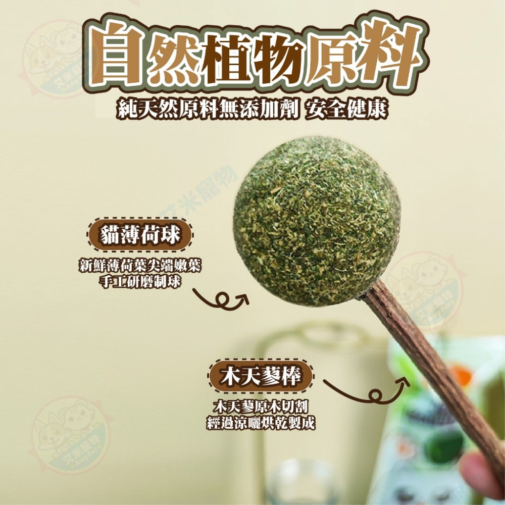 【艾米】貓薄荷木天蓼棒棒糖 木天蓼 木天蓼棒 貓草球 貓草 貓咪用品 貓薄荷球 貓薄荷草 貓薄荷-細節圖4