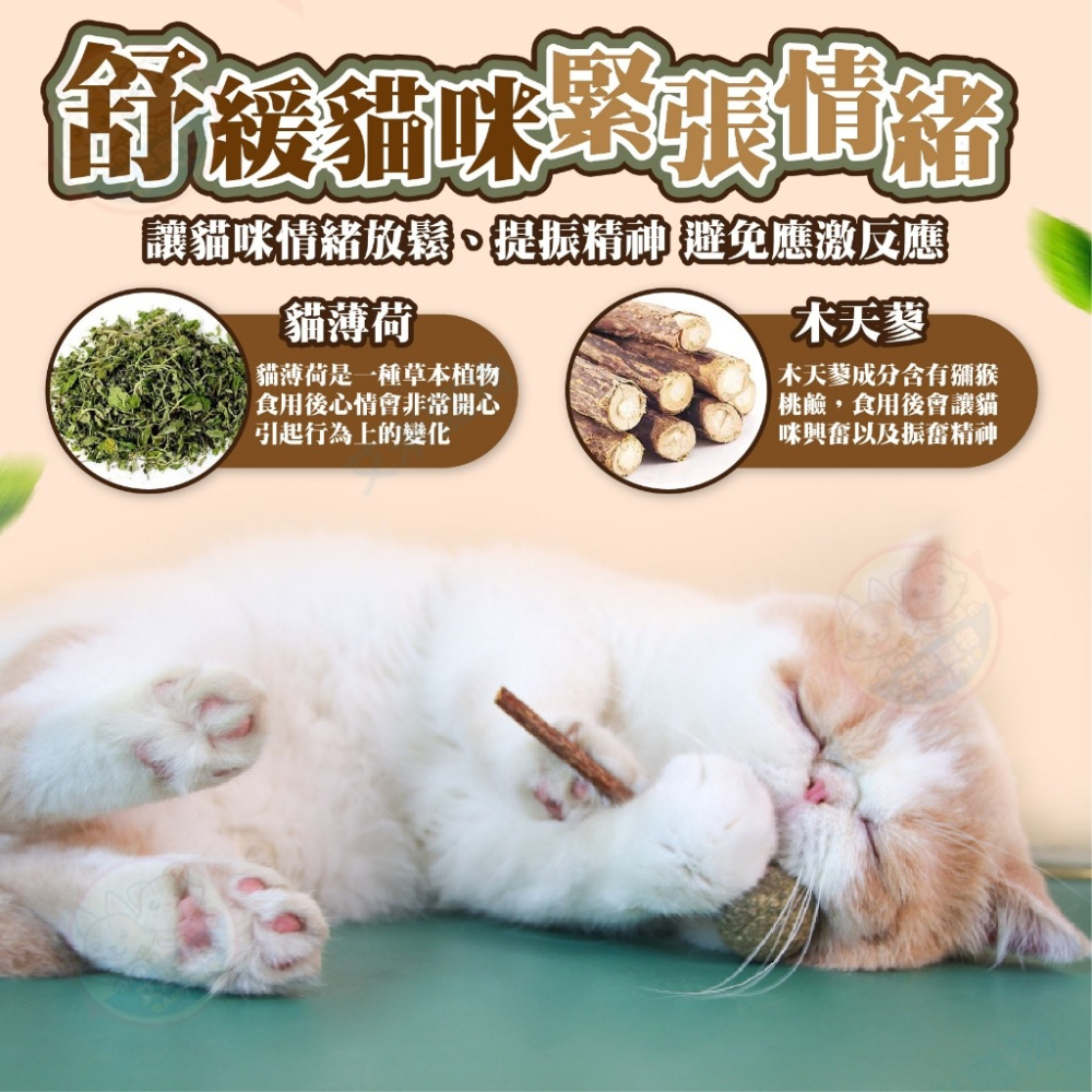 【艾米】貓薄荷木天蓼棒棒糖 木天蓼 木天蓼棒 貓草球 貓草 貓咪用品 貓薄荷球 貓薄荷草 貓薄荷-細節圖5